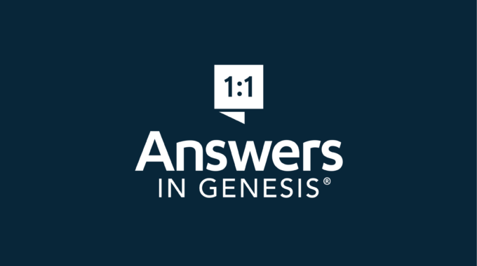Respuestas En Genesis Colombia