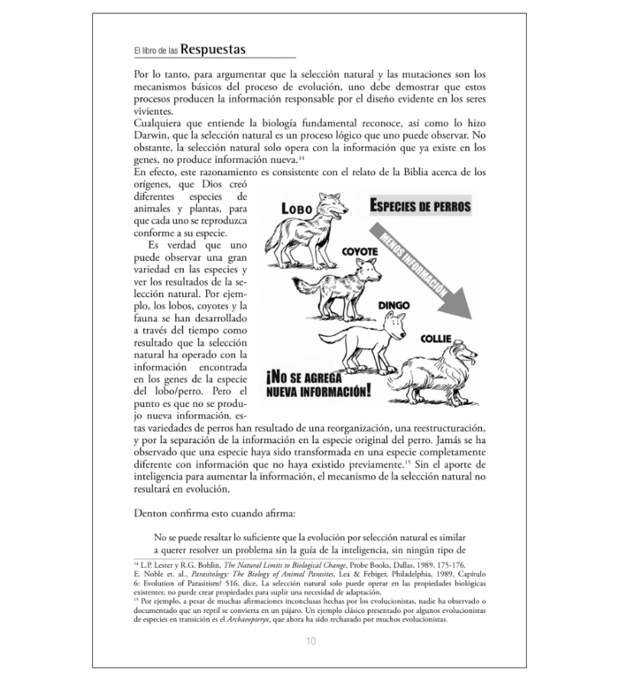 El Libro de las Respuestas sobre Evolución y Creación Vol 1 - Imagen 4